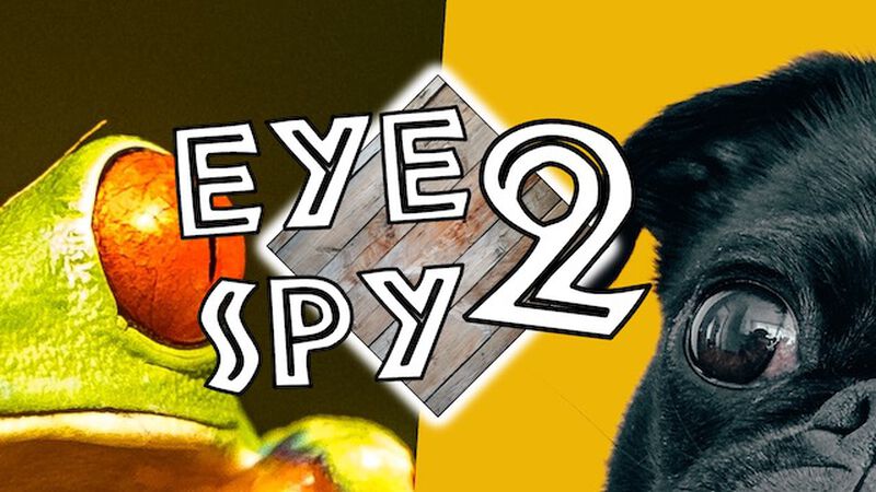 Eye Spy 2